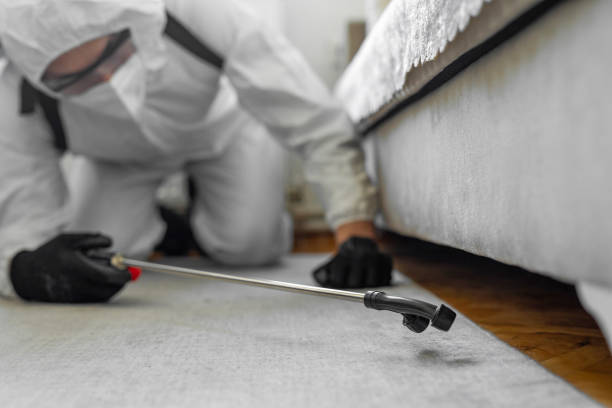 Professional Bed Bug Control technician working in Woodstock, AL