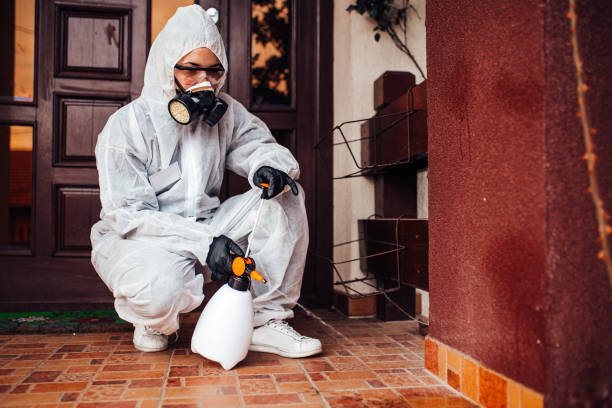 Reliable Bed Bug Control contractor in Woodstock, AL by Nex Pest Control