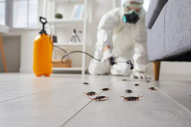 Trusted Cockroach Control service in Woodstock, AL - Nex Pest Control