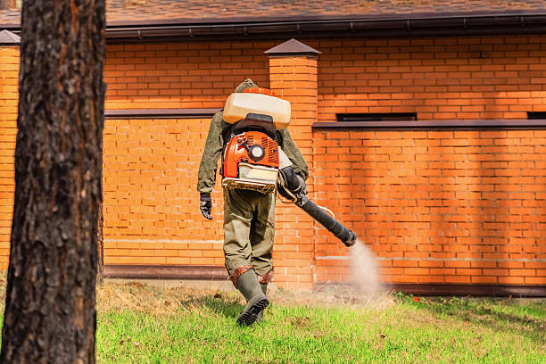 Trusted Bed Bug Control service in Woodstock, AL - Nex Pest Control